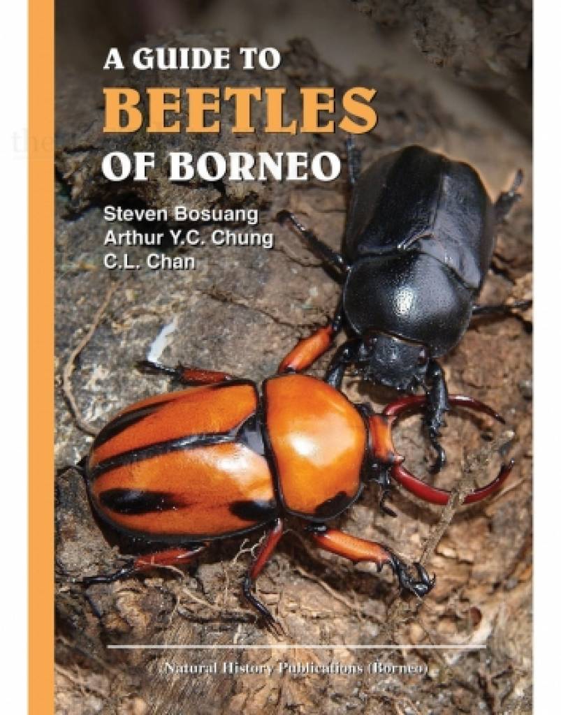 A Guide to Beetles of Borneo